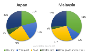 IELTS Writing Task 1 - Pie Chart